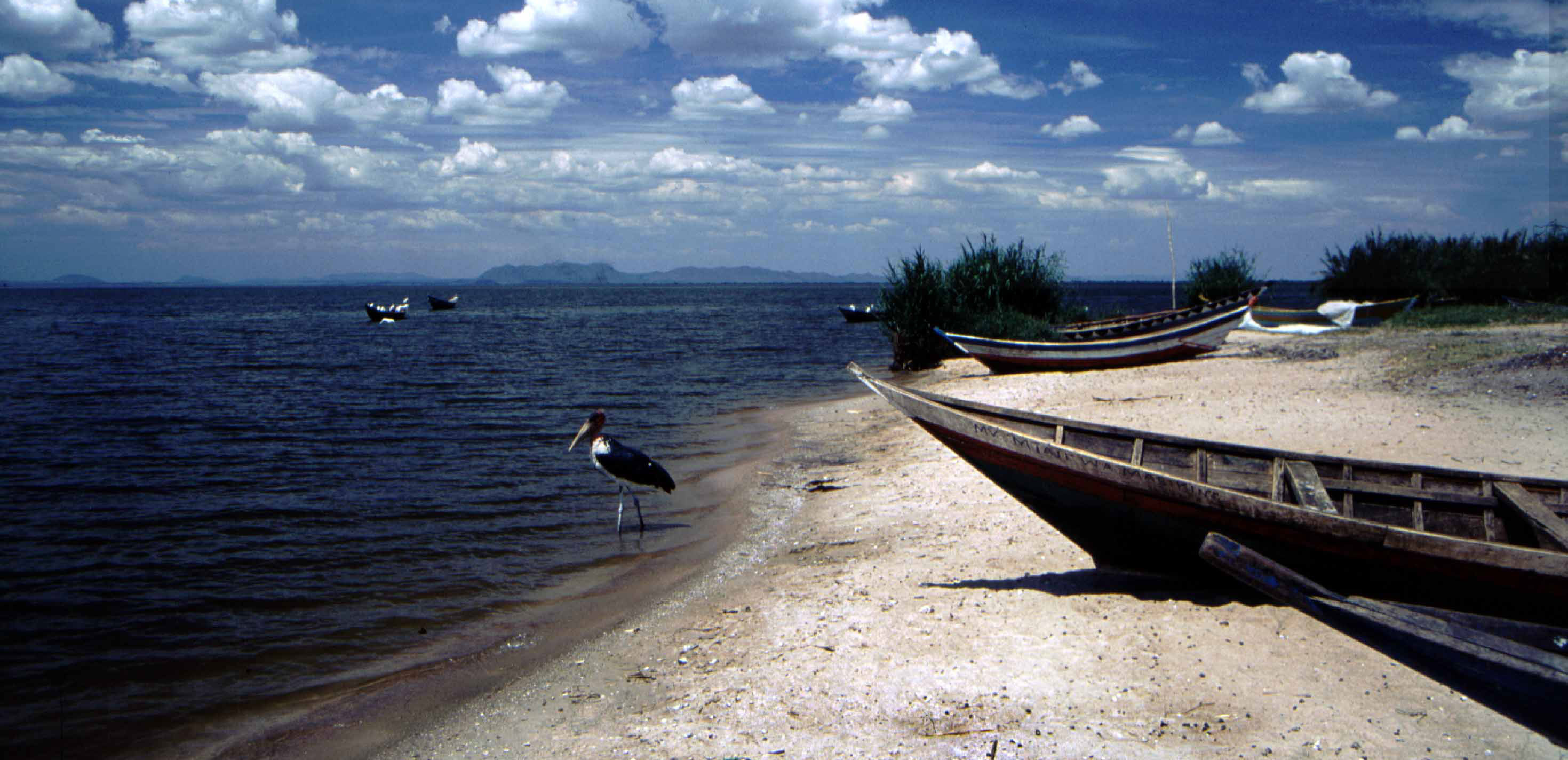 A photo of the Shores of Lake Victoria