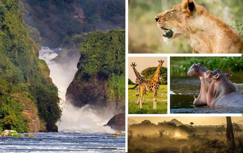 A photo showing tourist attractions in Murchison falls NP.